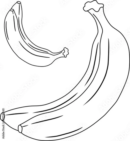 Obraz banana vector illustration