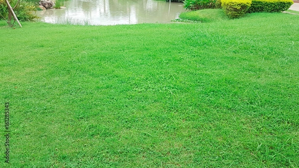 Fototapeta Large Lawn with pond in the garden