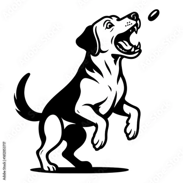 Fototapeta Playful Dog Leaping to Catch a Treat - Dynamic Canine Fun