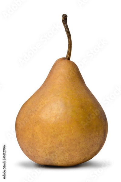 Obraz Alexander Birne