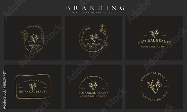 Fototapeta Minimal feminine botanical floral branch and logo. Hand drawn wedding herb, homeplant with elegant leaves. Botanical rustic trendy greenery