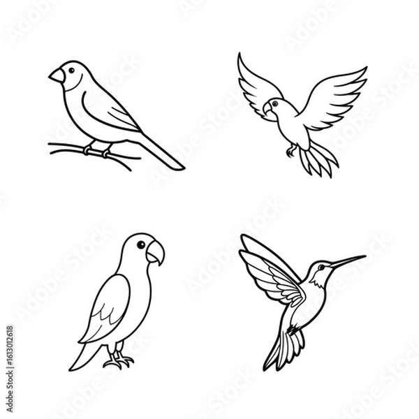 Obraz set of birds vector line art