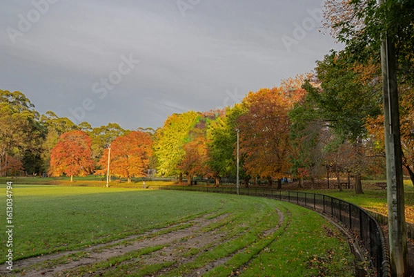 Obraz autumn in the park