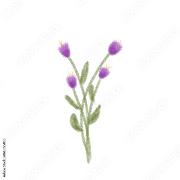 Fototapeta Simple Hand-Drawn Lavender-Like Flowers on Transparent Background. Perfect for digital use in greeting cards, scrapbooking, stickers, and spring designs