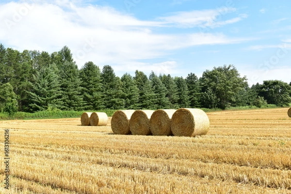 Obraz 麦稈ロール