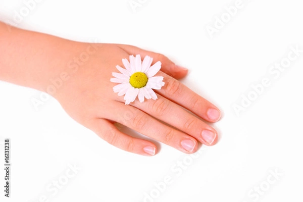 Obraz hände,margeritte