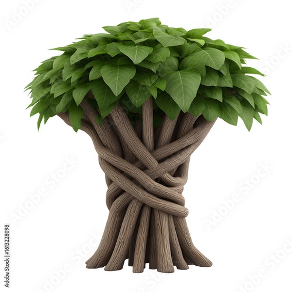 Fototapeta Braided Tree Trunk with Dense Leaf Crown in Stylized Form