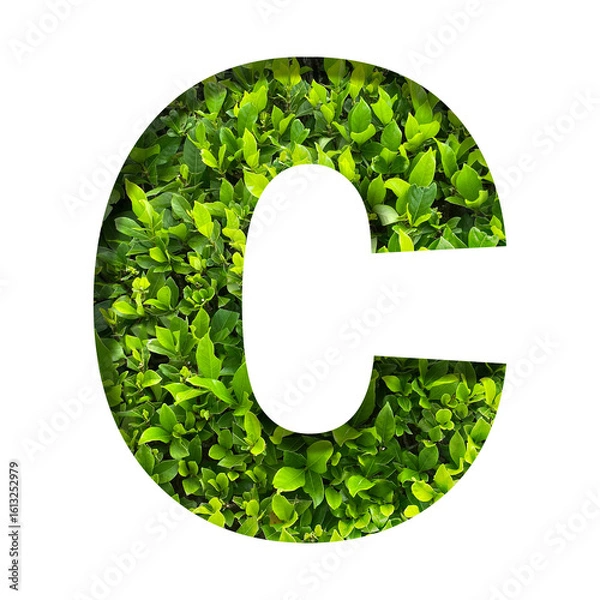 Fototapeta C shape made of leaves isolated on transparent background, go green concept, PNG	
