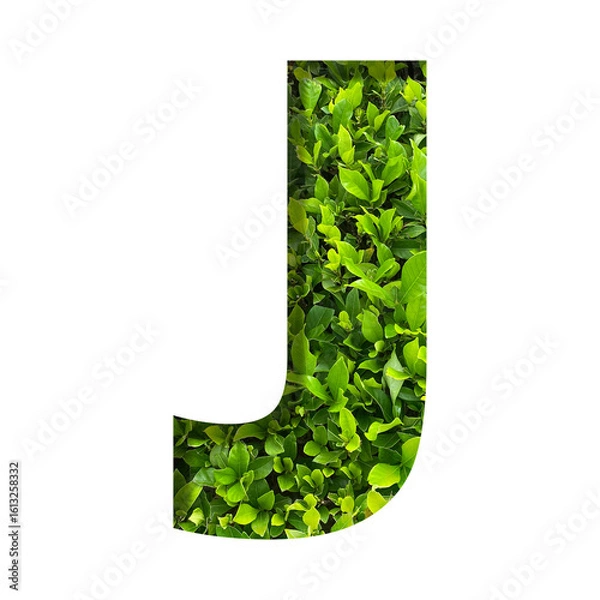 Fototapeta J shape made of leaves isolated on transparent background, go green concept, PNG	
