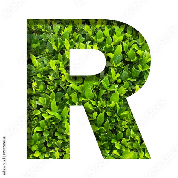 Fototapeta R shape made of leaves isolated on transparent background, go green concept, PNG	
