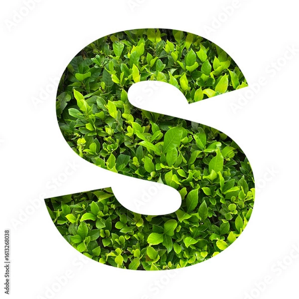 Fototapeta S shape made of leaves isolated on transparent background, go green concept, PNG	
