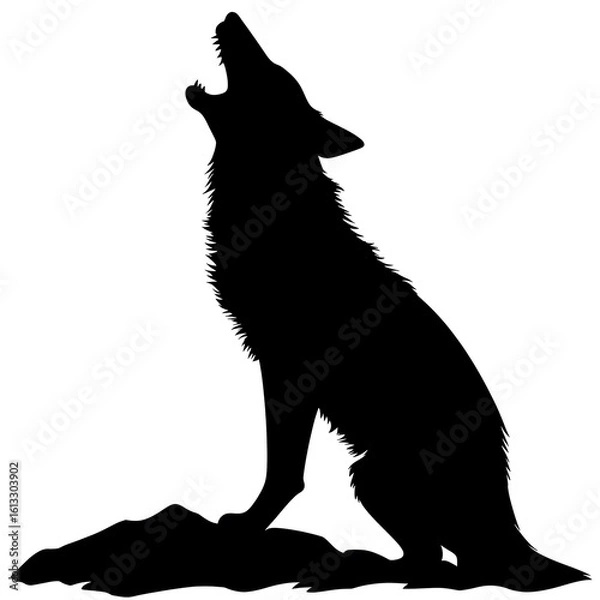 Obraz coyote howling silhouette