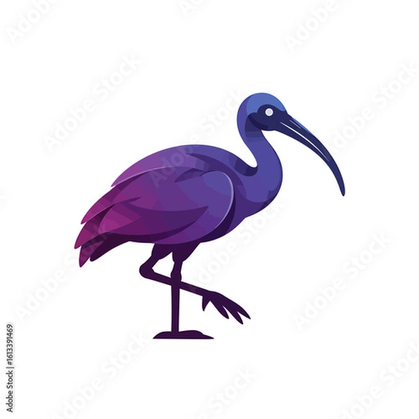 Fototapeta Elegant Ibis in Profile: An eye-level perspective of a sleek ibis standing gracefully, showcasing its distinctive curved beak and rich plumage.