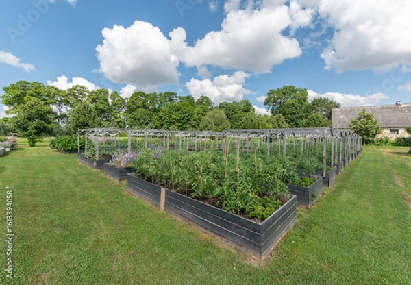 Obraz vegetables bank