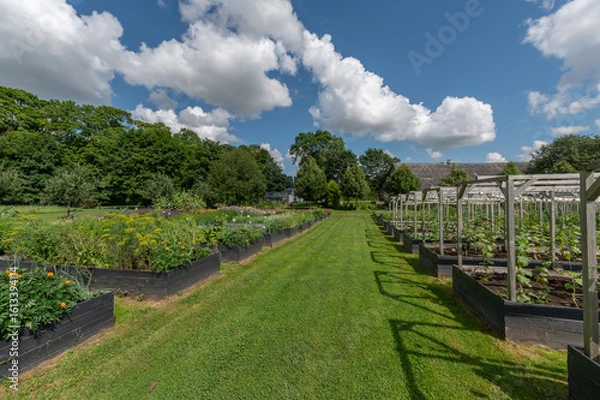 Obraz vegetables bank