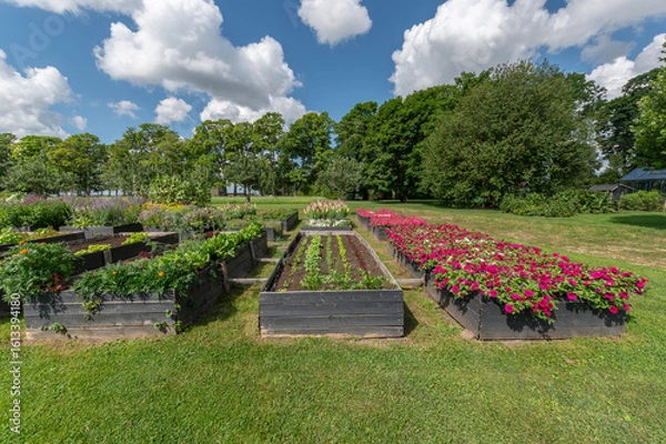 Obraz vegetables bank