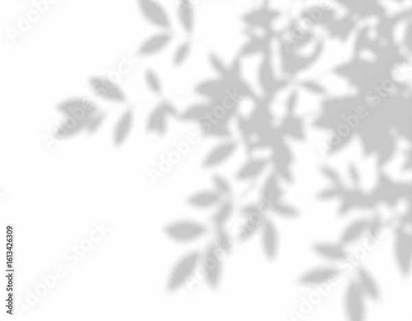 Fototapeta shadow overlay effect. Gray shadow of leaves isolated on white background. Plant foliage leaf shadow 
light effect. Mockup Blurred tree branch shadow. Ideal for summer spring design elements PNG