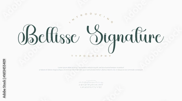 Fototapeta signature Font Calligraphy Logotype Script Brush Font Type Font lettering handwritten
