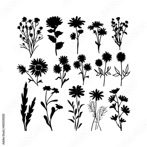 Obraz Black Aster Bloom Silhouette