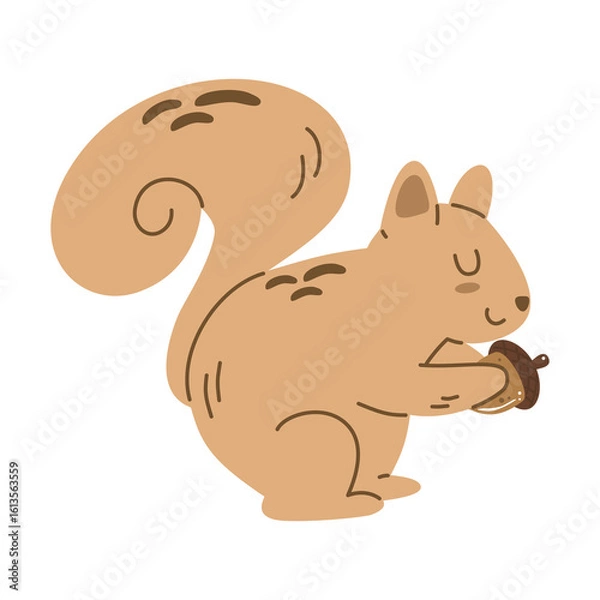Fototapeta Cute squirrel holding an acorn. Perfect for autumn, forest animals, nature, and woodland themes.
