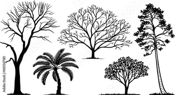 Fototapeta set of trees silhouettes