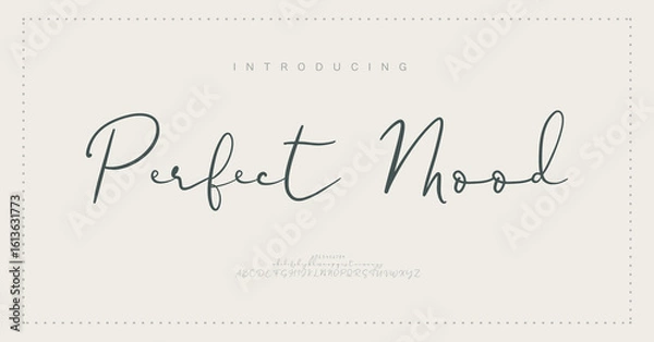 Fototapeta Signature Elegant Branding Typeface. Handwritten Script Editable Text Effect Template . vector illustration 
