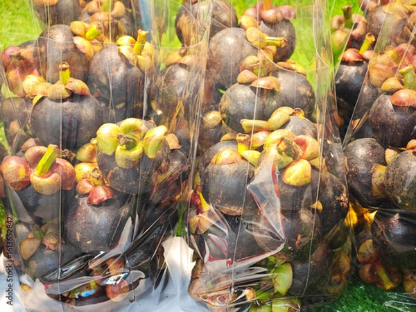 Obraz fresh mangosteen in plastic bag