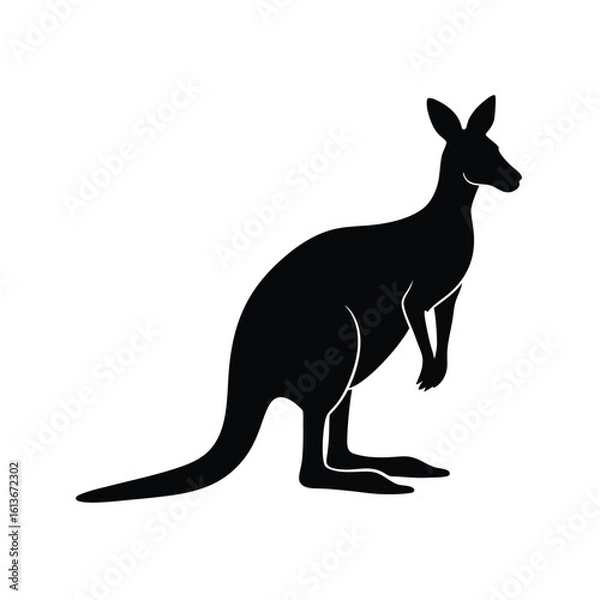 Fototapeta kangaroo vector illustration