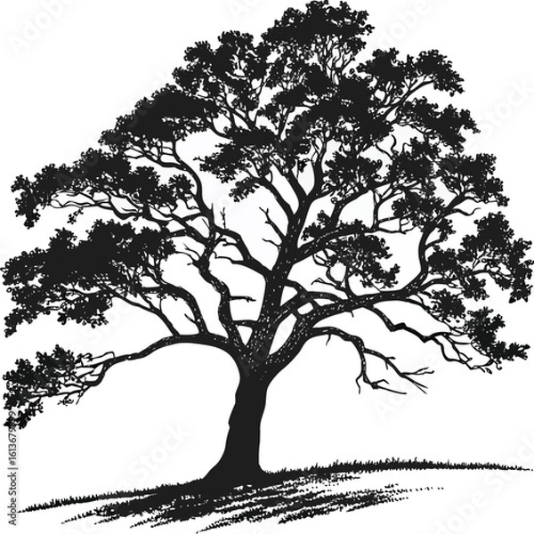 Fototapeta A lone, black tree silhouette vector captures the bare branches of winter nature against a single backdrop