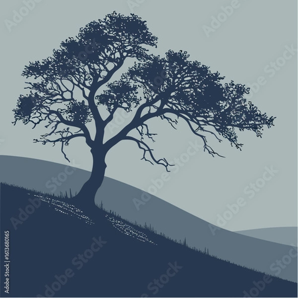 Fototapeta Isolated winter tree in a snowy landscape with bare branches against a white sky