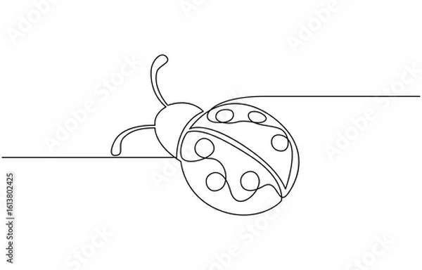 Fototapeta  continuous one line ladybug illustration, Bug one line continuous. Line art bug isolated on transparent background. Hand drawn vector art.