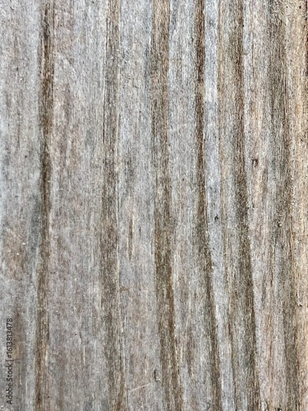 Fototapeta High-resolution wood texture with natural grain and vertical lines in earthy brown and grey tones. Perfect for backgrounds, 3D models, graphic design, product mockups, and digital art.