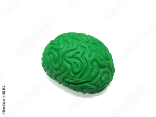Obraz green brain model on white background
