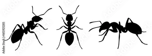 Fototapeta Set of ants black silhouettes isolated on transparent or white background, vector illustration.
