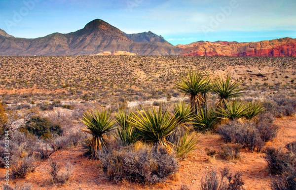 Obraz Red Rock Canyon, Nevada