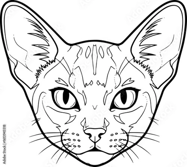 Obraz Abyssinian cat head front view outline icon vector
