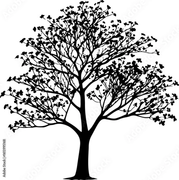 Fototapeta Flowering tree silhouette, a beautiful and detailed black and white illustration of a tree in full bloom. Ideal for nature, spring, floral, and landscape design projects.
