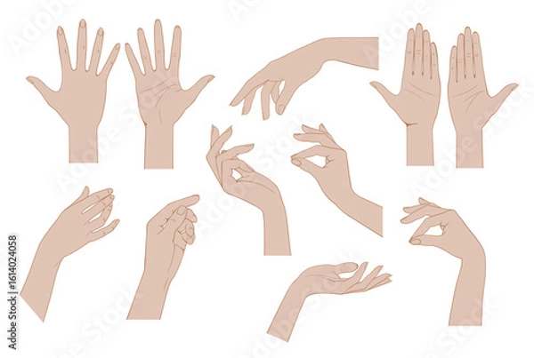 Fototapeta A set of linear drawings of flesh-colored female hands isolated on white. Retro icons, emblems and logo. Vector illustration