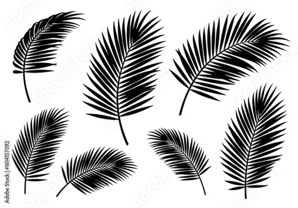 Fototapeta Black and White Palm Leaves Seamless Pattern Tropical Exotic Background