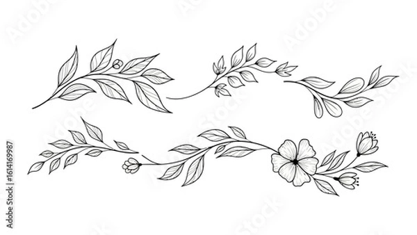 Fototapeta A set of hand-drawn elegant floral branches and leaf vines. Botanical line art illustration collection for decorative design.