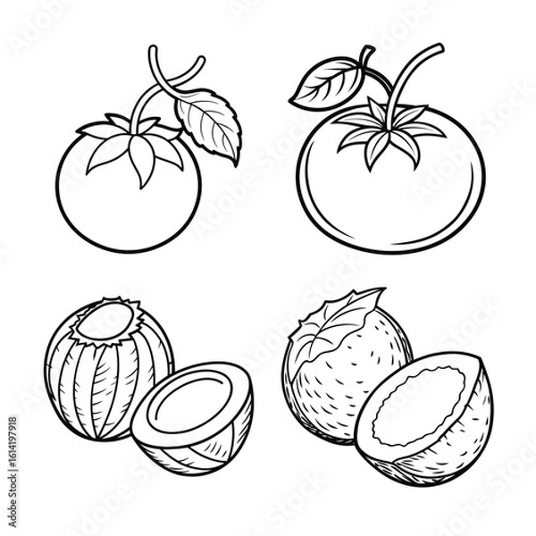 Fototapeta Fruit line art bundle design