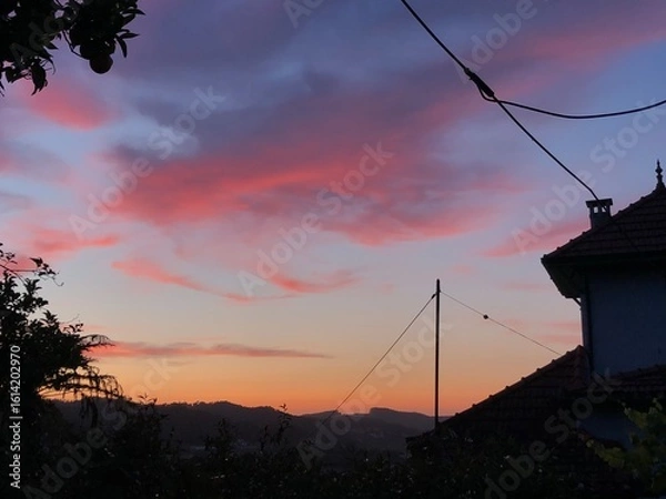 Obraz Sunset over the tree silhouettes 
