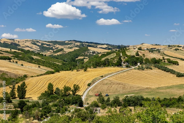 Fototapeta Italy. Apulia. Landscape with fields and trees.
