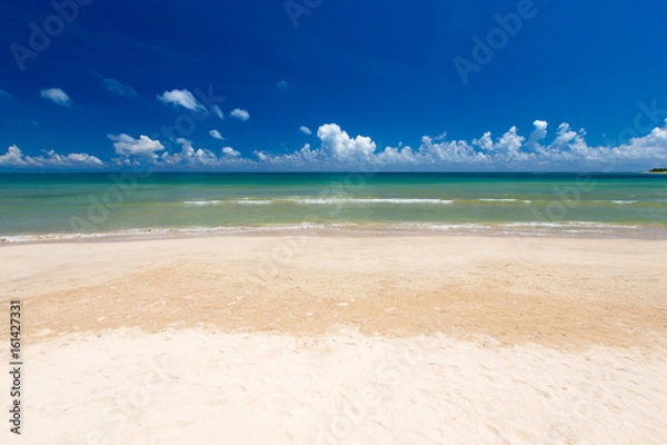 Obraz  tropical beach