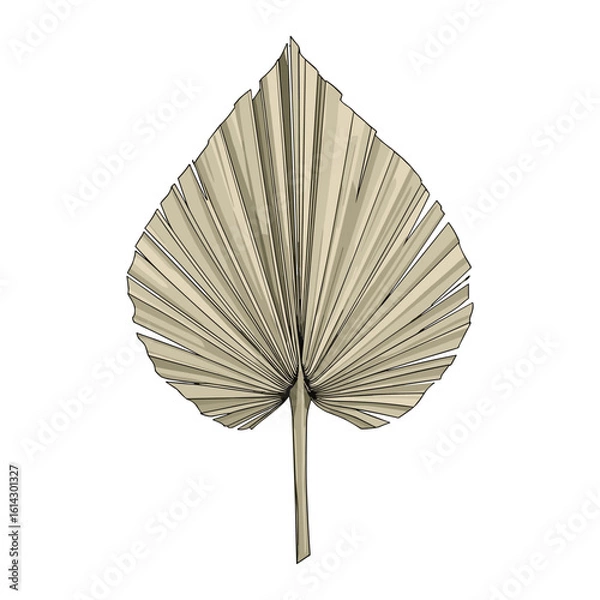 Fototapeta Dried Palm Leaf Illustration Botanical Element Tropical Foliage Natural Decor Graphic Design Asset