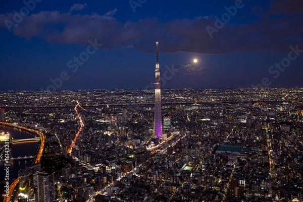 Fototapeta 都市風景・東京スカイツリーと月
Aerial view