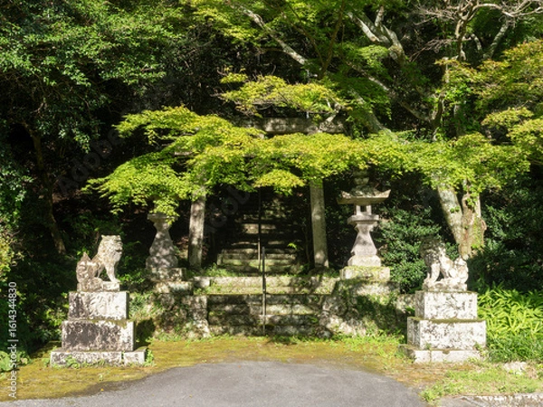 Obraz 里山に建つ神社の狛犬と鳥居