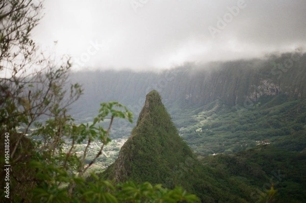 Obraz misty morning in the mountains