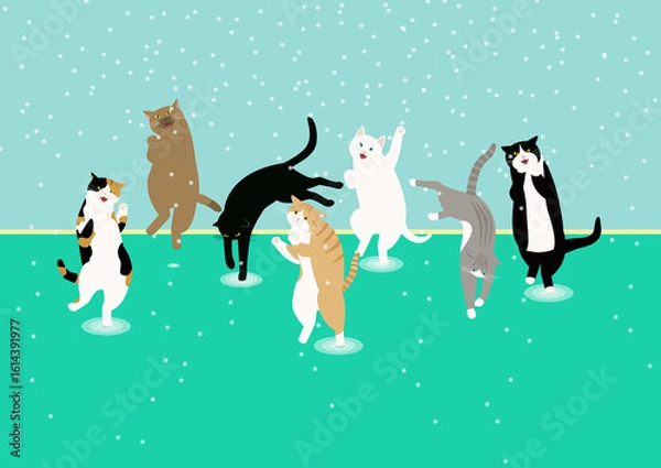 Obraz 水遊びする7匹の猫