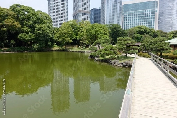 Fototapeta 初夏の庭園